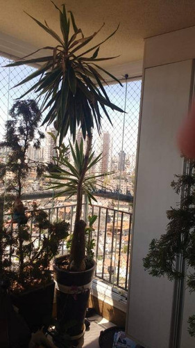 Apartamento À Venda, 96 M² Por R$ 669.000,00 - Vila Augusta - Guarulhos/sp - Ap14550