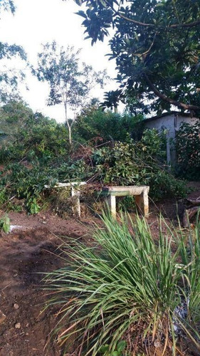 Imagem 3 de 16 de Chácara Com 1 Dormitório À Venda, 1000 M² Por R$ 150.000,00 - Tataúba - Caçapava/sp - Ch0351