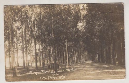 1934 Melo Postal Fotografia De Parque Zorrilla De San Martin