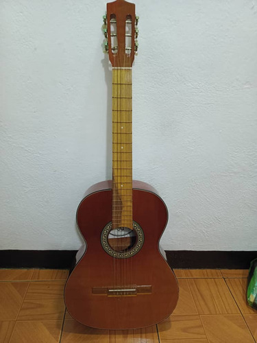 Guitarra De Madera Sin Detalles Con Estuche 