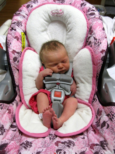 Summer Infant Muslin Snuzzler Adaptador Acolchado Para Coche Summer Infant Muslin Snuzzler Adaptador Acolchado Para Coche