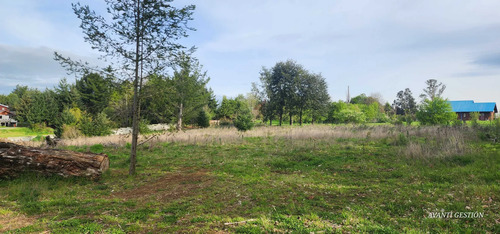 Venta Parcela Robles De Pilauco Osorno (127903)