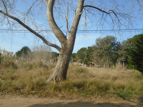Lote 1000 Mts Del Mar En Costa Del Este . Nuevo Valor