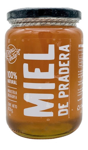 Miel Pura De Pradera 100% Natural Terra Verde 850 Gramos