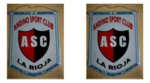 Banderin Grande 40cm Andino La Rioja