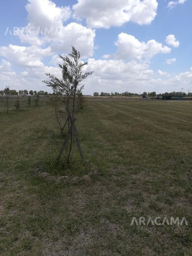 Imagen 6 de 7 de Fincas De San Vicente - Laguna