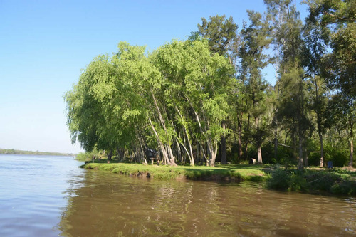 Imagen 9 de 16 de Venta Lote En Bahías Del Paraná - Chacra 4000 M2