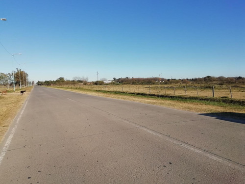 Imagen 3 de 13 de Campo 5ha - Con Pequeña Construcción - Capitan Sarmiento -