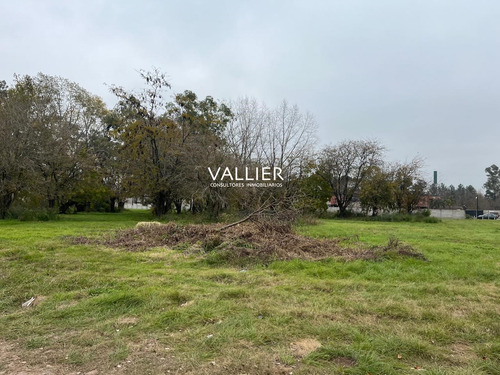 Fracción 1.7 Ha En Venta- Caamaño Km 46.5- Pilar, G.b.a. Zona Norte