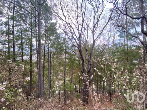Venta Terreno 0 Ambiente San Nicolás