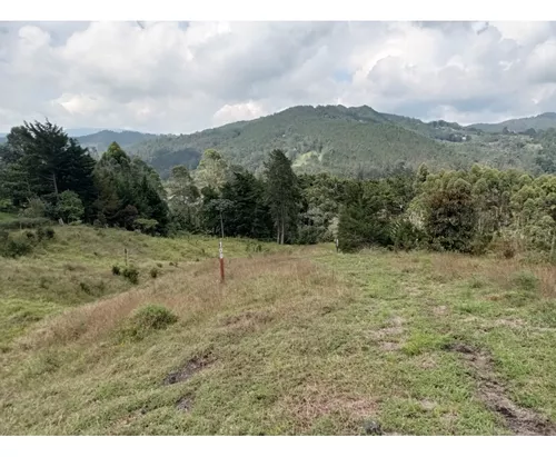 Lote En Venta Sector Llanogrande- Parcelación Vía Don Diego