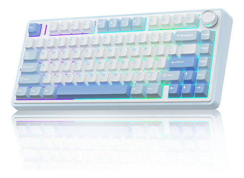 Pack De Teclado Mecnico Inalmbrico 75% Rgb Para Gaming
