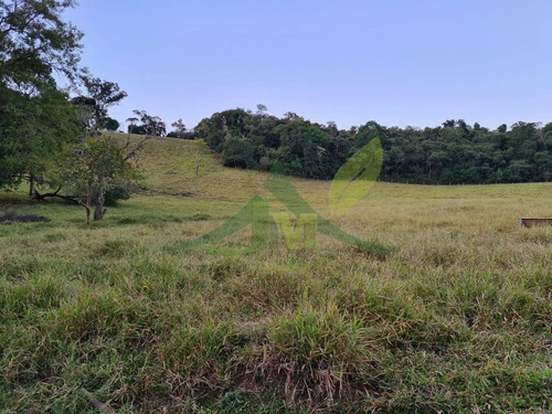 Imagem 5 de 15 de Sítio Em Piracaia Com 25 Alqueires - 1561