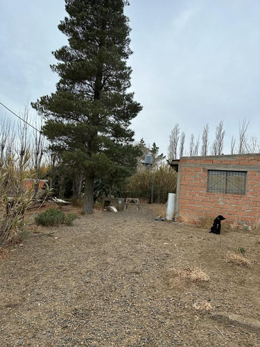 Venta Chacra 3600m2 Y 2 Deptos Y Quincho, Frutales,caleta Ol