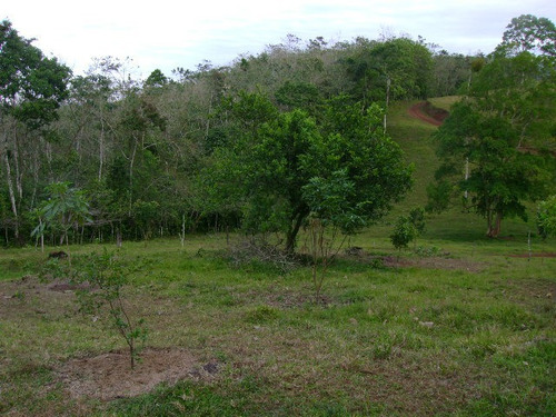 Imagen 14 de 14 de Venta De Hermosa Finca