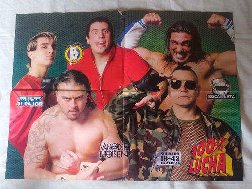 Poster O Lamina De 100% Lucha, Buen Estado