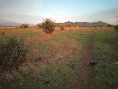 Propiedad Agrícola En Venta, Campo De 31,3 Ha, Rio Claro