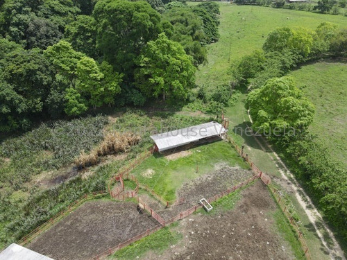 Imagen 26 de 30 de Finca En Venta San Felipe 1500 Ha, #23-14481