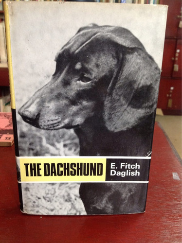 El Dachshund. En Ingles