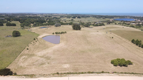 Imagen 9 de 30 de Chacra En Venta, Fraccion De 20 Has En Jose Ignacio (ref: Atm-6766)