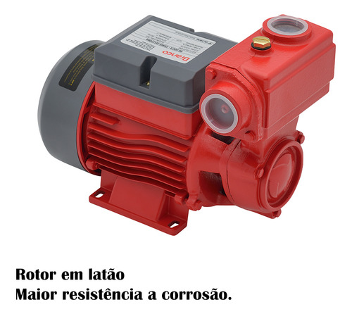 Bomba De Agua Autoaspirante Eletrica Bb500a 0,5cv Bivolt Cor Vermelho