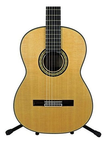 Takamine H8ss Guitarra Acustica Clasica De Cuerda De Nylon C