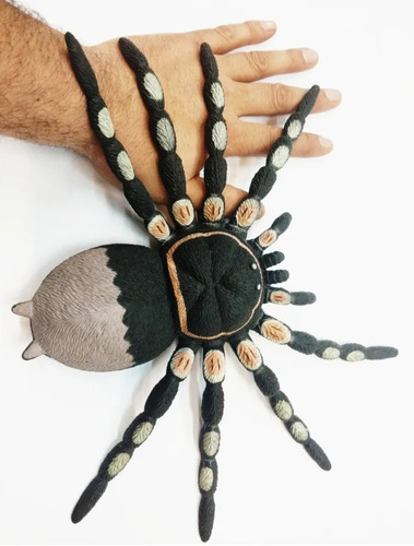 Araña Arañas Goma Blanda Gigantesca 40x22cm El Mejor Regalo 