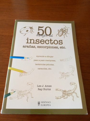 50 Dibujos De Insectos 