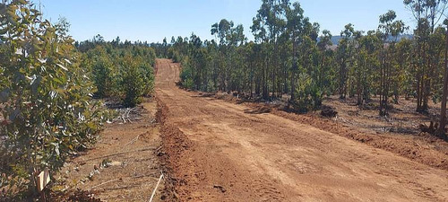 Parcela El Peral A 25 Min De Playa. Cardenal Caro, Paredones