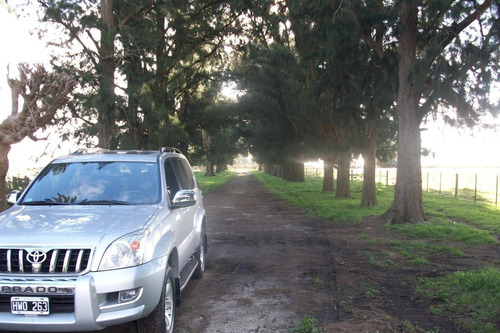 Imagen 14 de 30 de Campo En Venta En Arditti | Ruta 11-km.57 (110 Has)