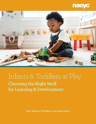 Libro Infants And Toddlers At Play : Choosing The Right S...