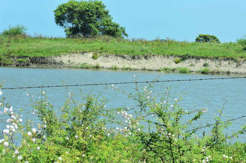 Venta Rancho Ganadero 1229 Hectáreas Tuxpan Veracruz.