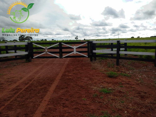 Imagem 9 de 15 de Fazenda À Venda Em Formoso Do Araguaia-to - 1.771 Hectares (dupla Aptidão) - 1618