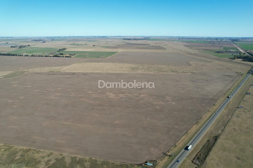 Imagen 26 de 27 de Terreno Campo En Venta En Carmen De Areco, Resto De La Provincia, Buenos Aires