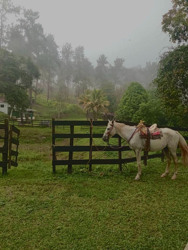 Finca En Miranda Cod. Indif-101