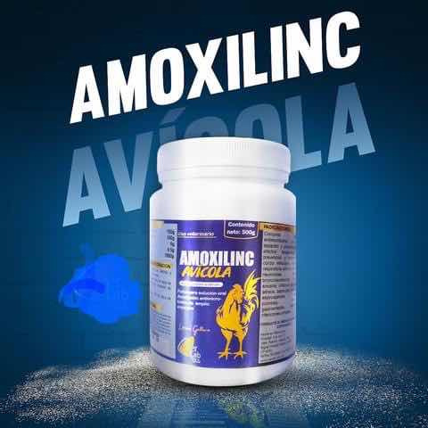 Amoxilinc Avícola Contra Micoplasma Envío Incluido