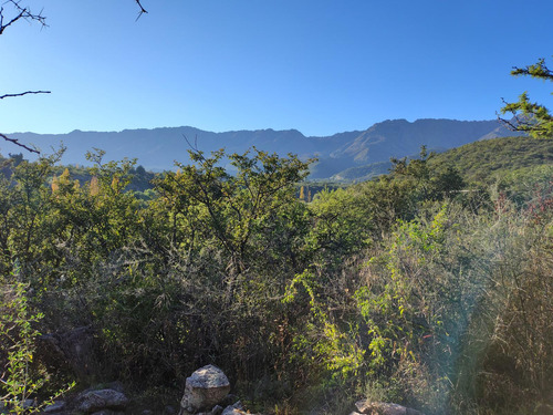 Excelente Terreno En Los Hornillos Sobre Ruta, 8.772 M2