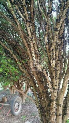 Sitio Com 3,66 Hectares Com Casas, Barracão, Represa, Curral, Pastagem Na Região De Tatui-sp - Si0082