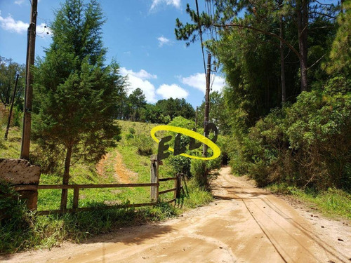 Imagem 12 de 19 de Terreno À Venda, 21250 M² Por R$ 1.100.000,00 - Jardim Nossa Senhora Das Graças - Cotia/sp - Te0873