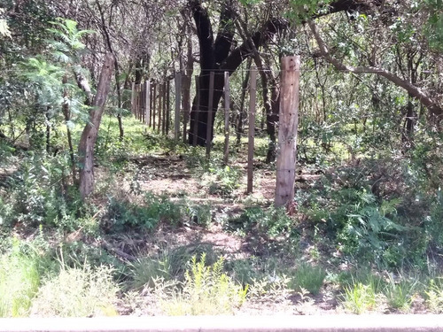 Imagen 5 de 8 de Campo Ruta 28 Carpintería San Luis