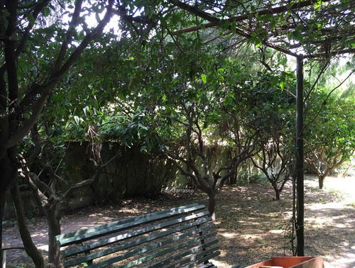 Imagen 2 de 2 de Casa En Carrasco Norte Con Gran Terreno