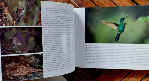 Tepuy Colosos De La Tierra Roraima Fotos Mapas Terramar (Usado)