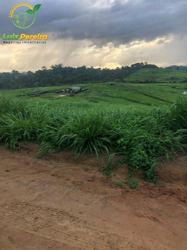 Imagem 9 de 15 de Fazenda À Venda Em Pacajá - Pa 692,12 Hectares - 2094