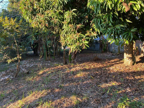 Imagem 5 de 14 de Terreno - Te00022 - 68225325