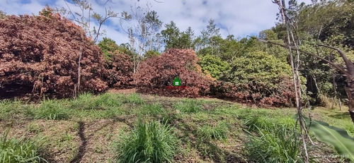 Imagem 3 de 8 de Terreno Medindo 5.401 M² Em Miracatu-sp Ref.: 0686