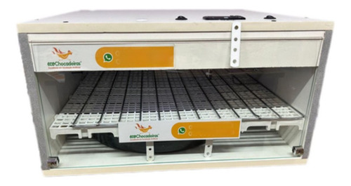 Chocadeira De 50 A51 Ovos De Galinha 220v