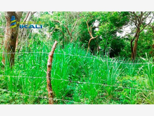 Imagen 4 de 8 de Terreno En Venta Juana Moza