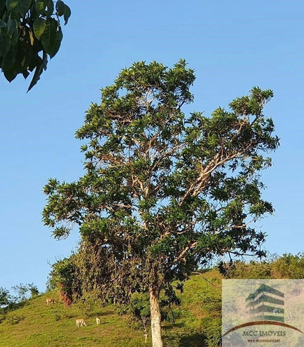 Imagem 19 de 27 de Chácara Com 8ha A Venda Em Guarabira, Paraíba