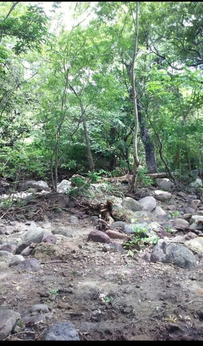 Imagen 6 de 30 de Se Vende Finca De 154 Manzanas