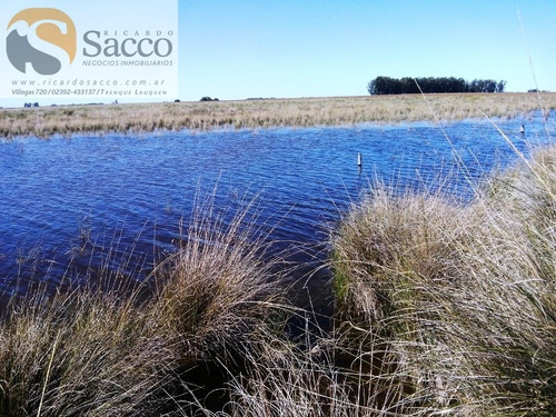 Chacra En Venta En Distrito De #trenquelauquen